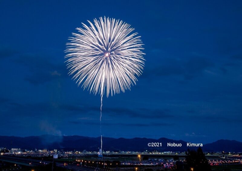 3.11祈りと絆「白菊」
