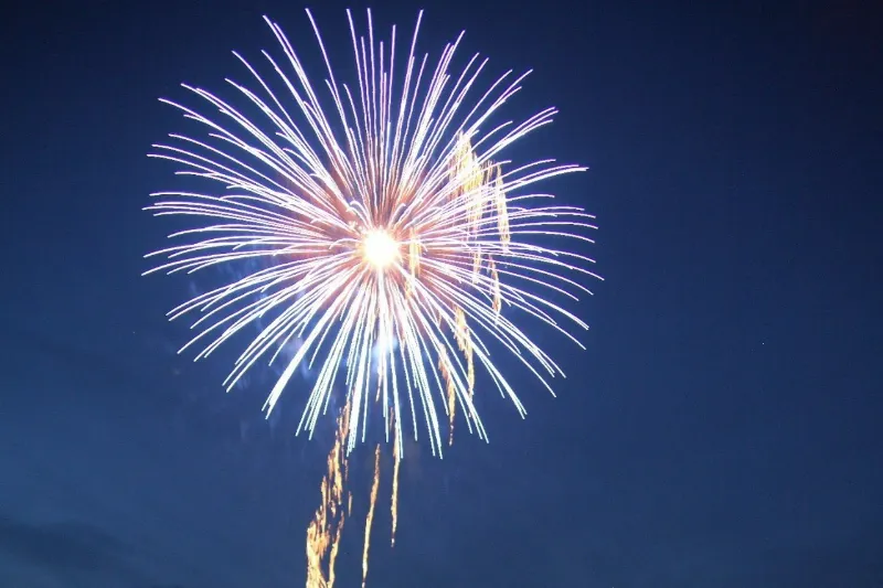 浜坂ふるさと夏祭り花火大会