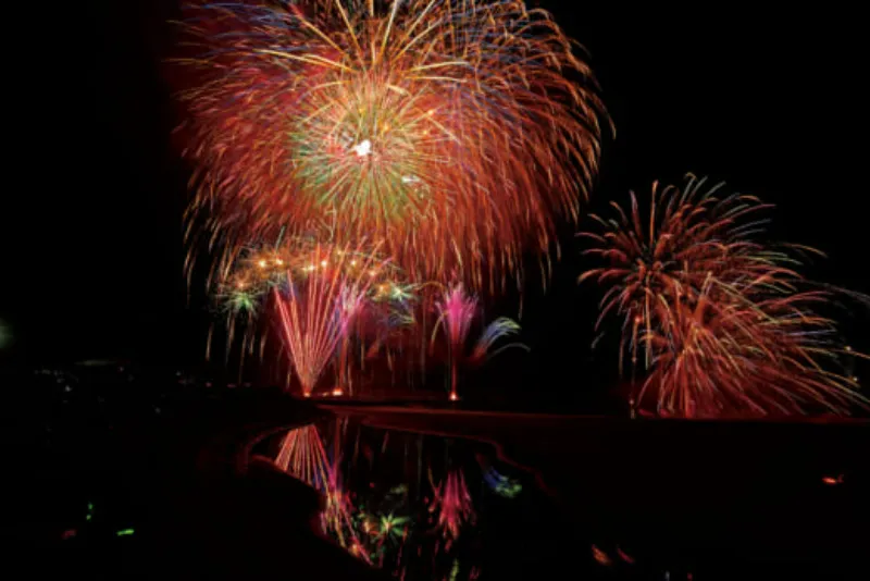 たねいち海浜公園シーサイド花火大会