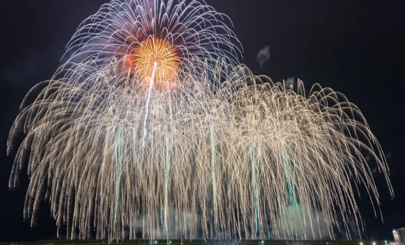 東京未来芸術花火大会