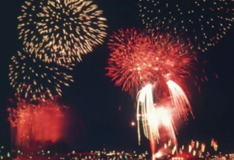 やないづ境川ふれあい夏祭り2024